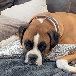 Meet your Posher, Angelina